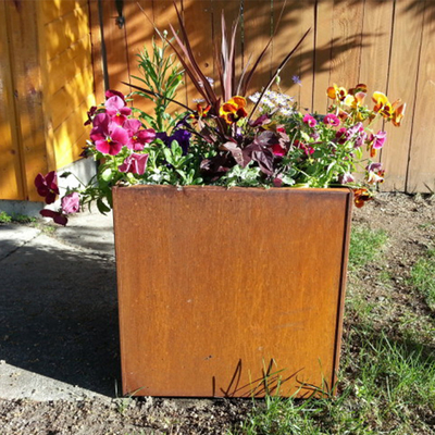 890*720*440mm de Grote Openluchtweerbestendigheid van de de Bloempot van Corten van de Metaalplanter