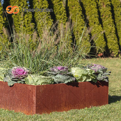 Rechthoekige de Dozen van de het Staalplanter van tuincorten