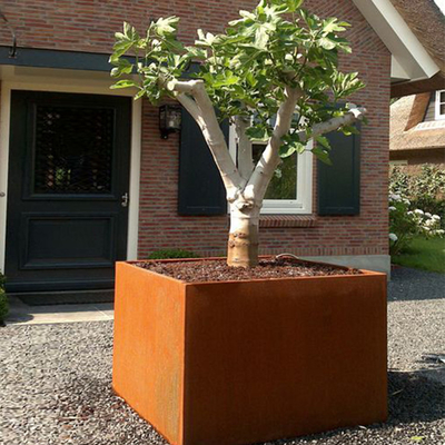 De openluchtpot van de het Staal Rechthoekige Bloem van de Metaalverwering/Bloemplanter