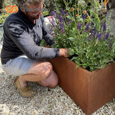 1200*500*600mm Corten de Plantersdozen van het Staal Plantaardige Planters Geroeste Metaal
