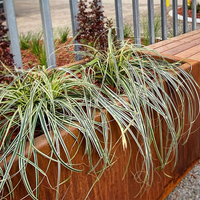 600mm 700mm 1000mm Openlucht Rechthoekig Tin Planter For Tree Planting