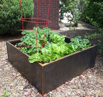OEM ODM Openluchtmetaal Opgeheven de Tuinbed van het Terrasbalkon voor Plantaardige Roestvrij