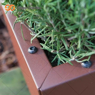 Van de de Tuinplanter van het aanpassingsmetaal van de Dozencorten van de het Staaltrog Planter 1200mm