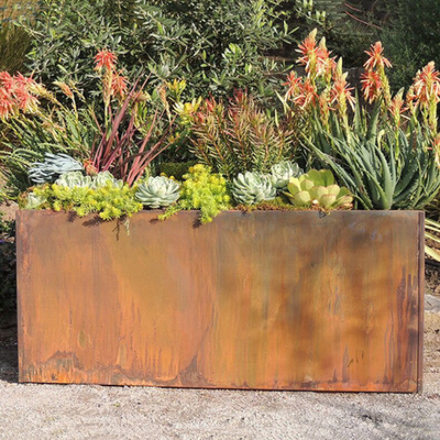 Van de de Tuinplanter van het aanpassingsmetaal van de Dozencorten van de het Staaltrog Planter 1200mm