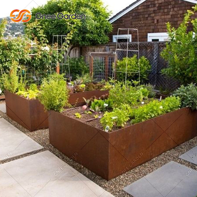 Van de de Tuinplanter van het aanpassingsmetaal van de Dozencorten van de het Staaltrog Planter 1200mm