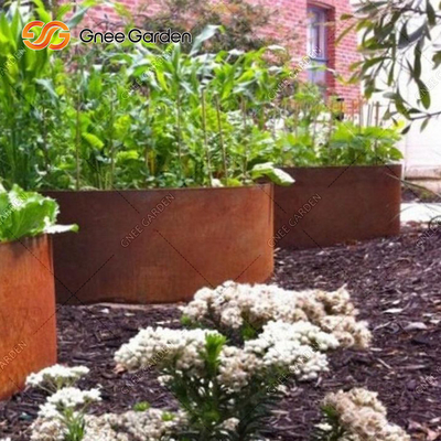 OEM ODM Openluchtmetaal Opgeheven de Tuinbed van het Terrasbalkon voor Plantaardige Roestvrij