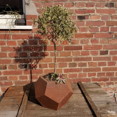 Van de het Staalplanter van Corten van de laserbesnoeiing Pot van de de Tuin de Openluchtbloem