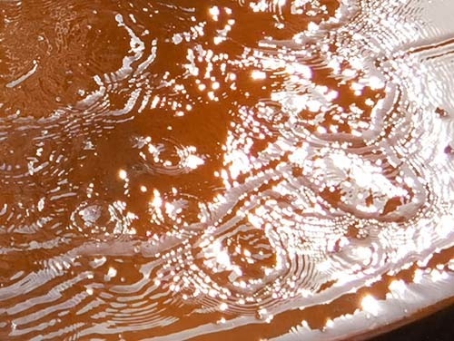 Dia 600mm de Decoratieve van de Ornamentencorten van de Metaaltuin Lijst van het het Staalwater