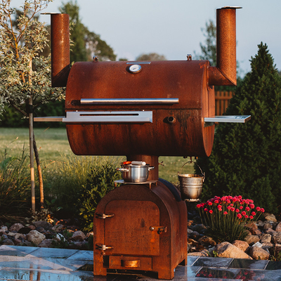 Pre Geroeste het Staal Openlucht Kokende Grills van Moestuincorten