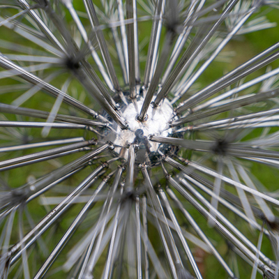 304 316 de Tuin van Art Electroplate Dandelion Shape For van de Roestvrij staalyard