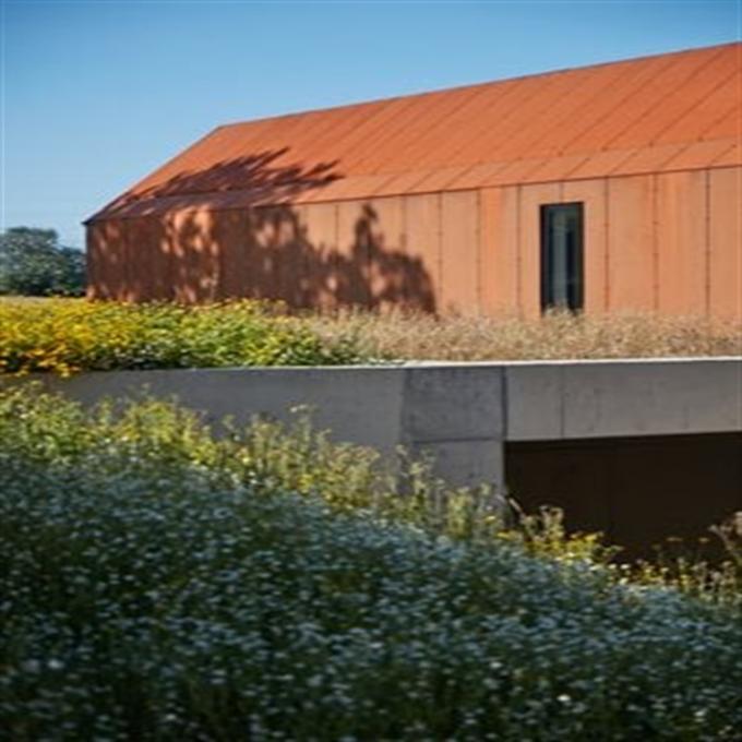 De Muurcomité van het Cortenstaal de Openlucht Buitenmuur van MuurBekledingspanelen